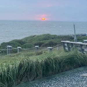 Meet your Posher, Patrick